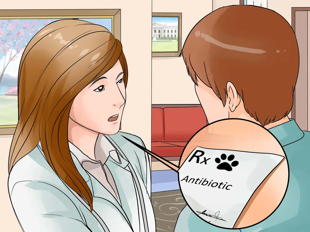 Как предотвратить собачий грипп: 8 шагов (с иллюстрациями)