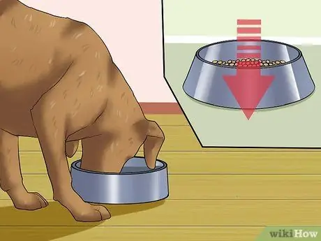 Диагностика собачьего гриппа, шаг 4