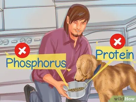 Диагностика болезни почек у пожилых собак Шаг 9