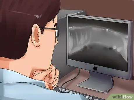 Обнаружение камней в мочевом пузыре у собак Шаг 14