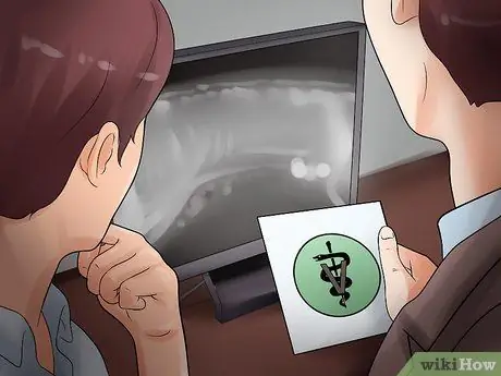 Обнаружение камней в мочевом пузыре у собак Шаг 15