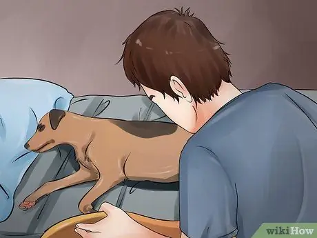 Обнаружение камней в мочевом пузыре у собак Шаг 10