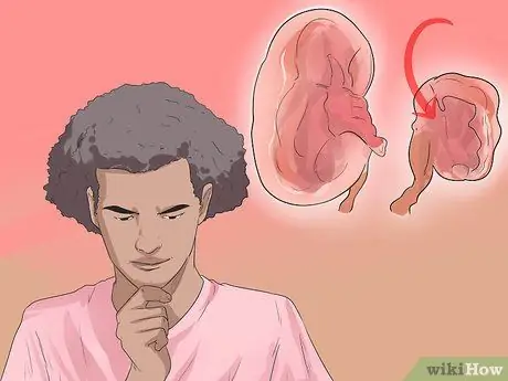 Диангозная ювенильная дисплазия почек у ши-тцу Шаг 9