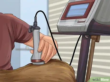 Лечить недержание у собак Шаг 11