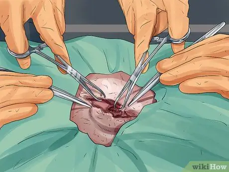 Лечить недержание у собак Шаг 12