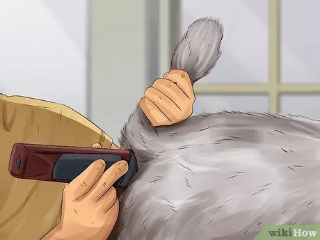 Лечить недержание у собак Шаг 14