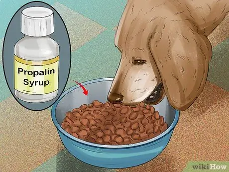 Лечить недержание у собак Шаг 8