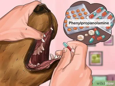 Лечить недержание у собак Шаг 9