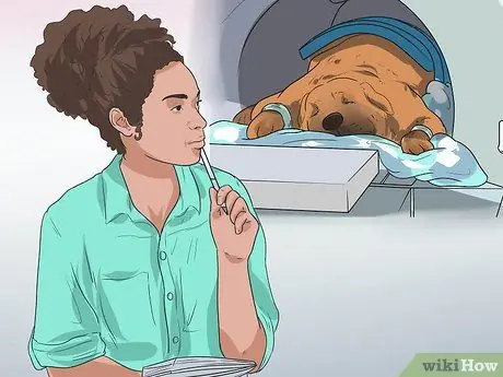 Лечить проблемы мочевыводящих путей у собак Шаг 12