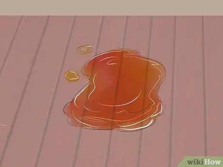 Лечить проблемы мочевыводящих путей у собак Шаг 2