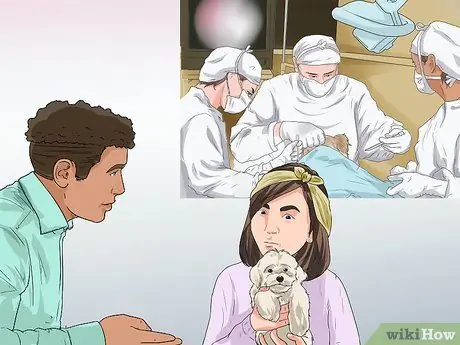 Лечить проблемы мочевыводящих путей у собак Шаг 9