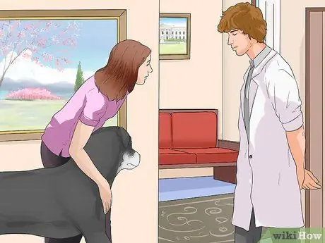 Профилактика заболеваний пародонта у собак, шаг 1