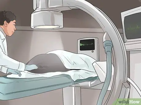 Профилактика заболеваний пародонта у собак Шаг 10