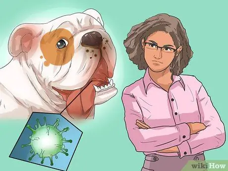 Предотвращение заболеваний пародонта у собак Шаг 12