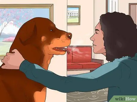 Профилактика заболеваний пародонта у собак, шаг 7