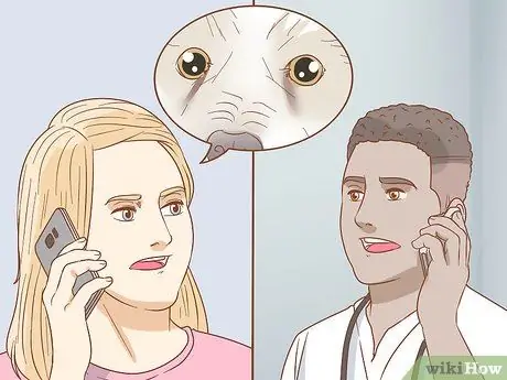 Удаление пятен от слезных протоков с белых собак Шаг 11