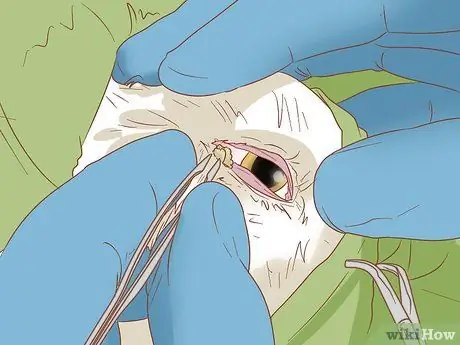 Удаление пятен от слезных протоков с белых собак Шаг 14