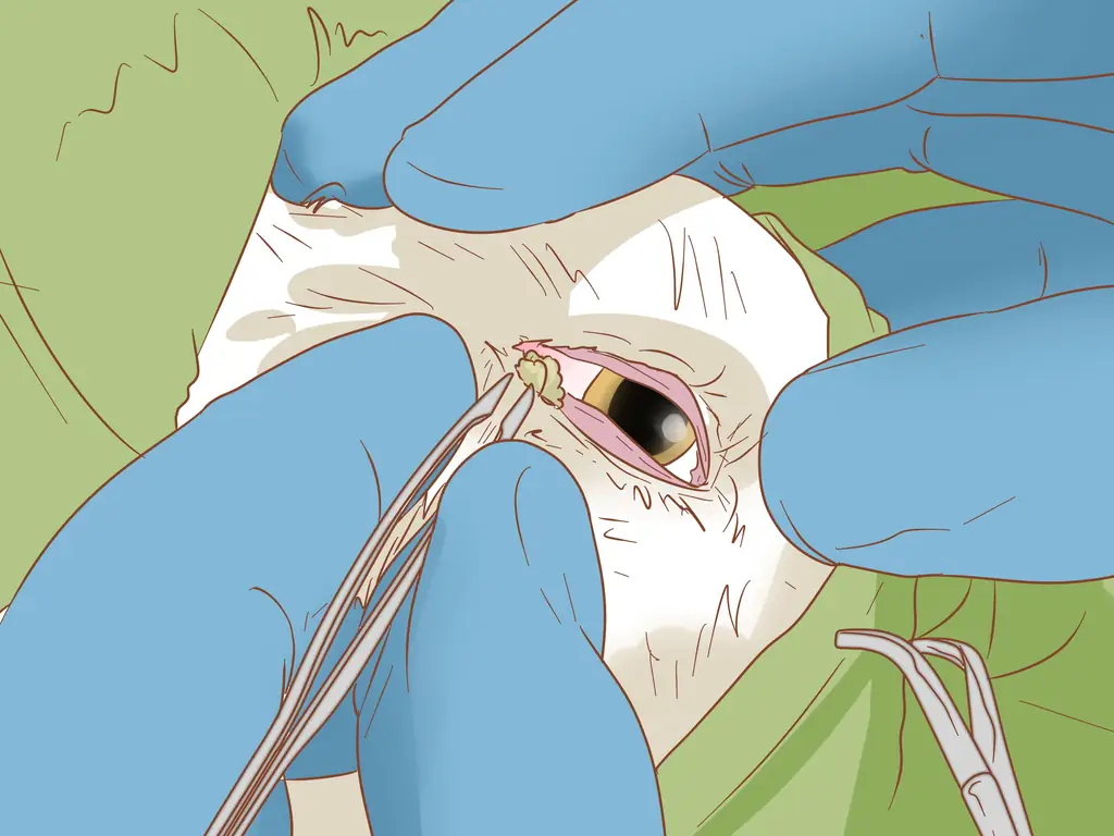 3 способа удалить пятно от слезного протока с белых собак