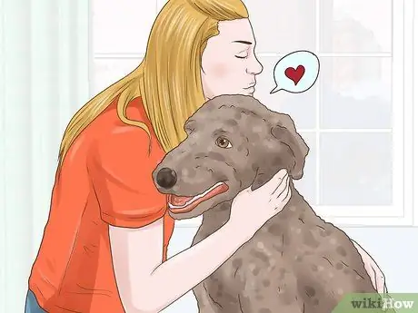 Лечить подергивание глаз у собак Шаг 1