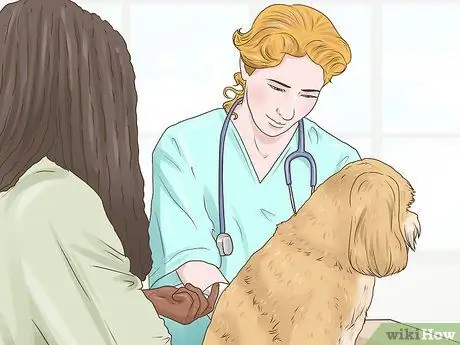 Лечить подергивание глаз у собак Шаг 4