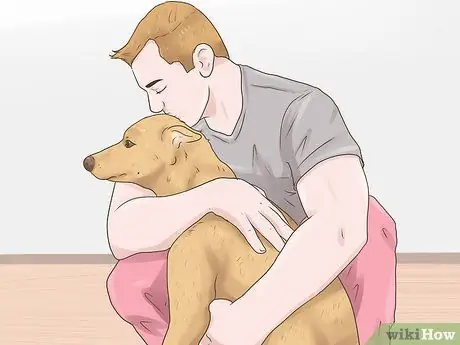 Лечить подергивание глаз у собак Шаг 8