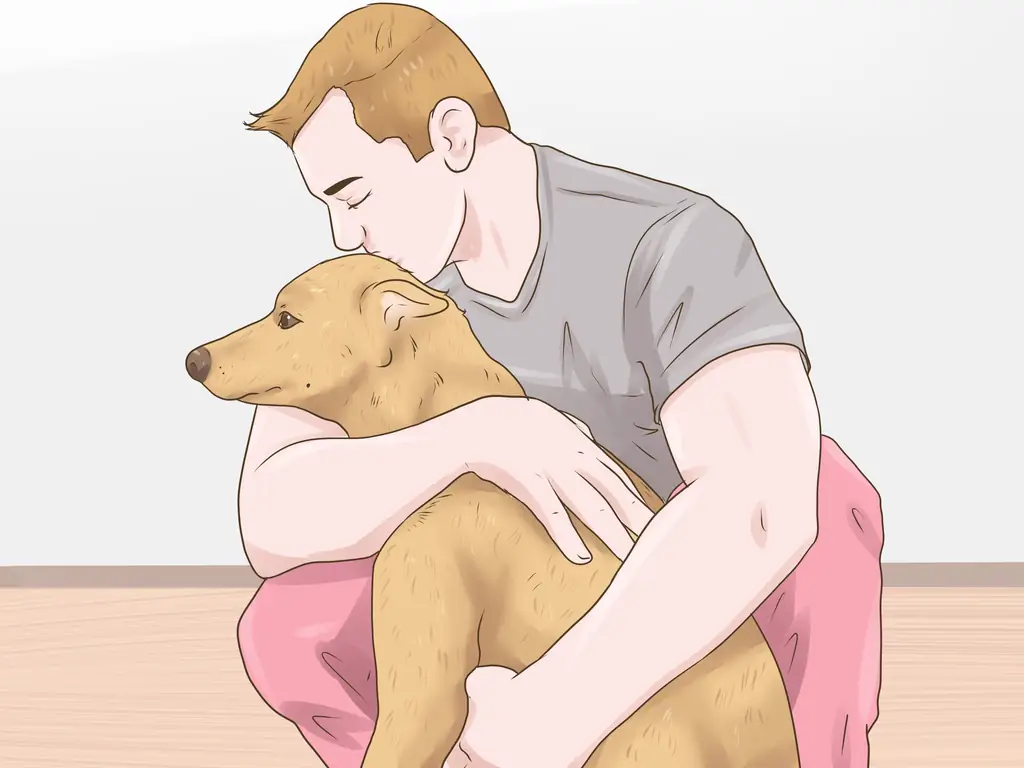 Как лечить подергивание глаз у собак: 8 шагов (с иллюстрациями)