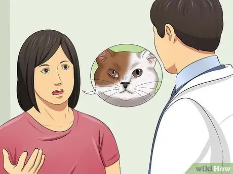 Диагностика конъюнктивита у кошек Шаг 7