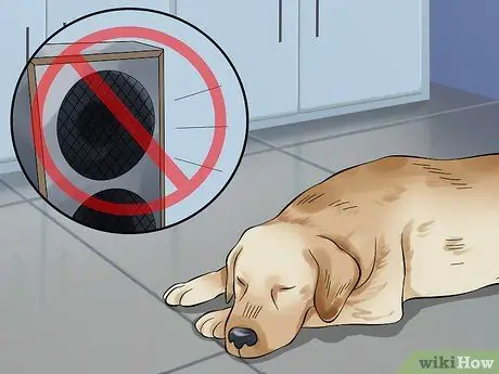 Лечить глаукому собак Шаг 6