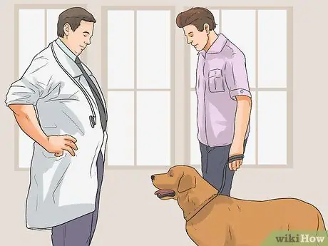 Диагностика катаракты у лабрадоров-ретриверов Шаг 6