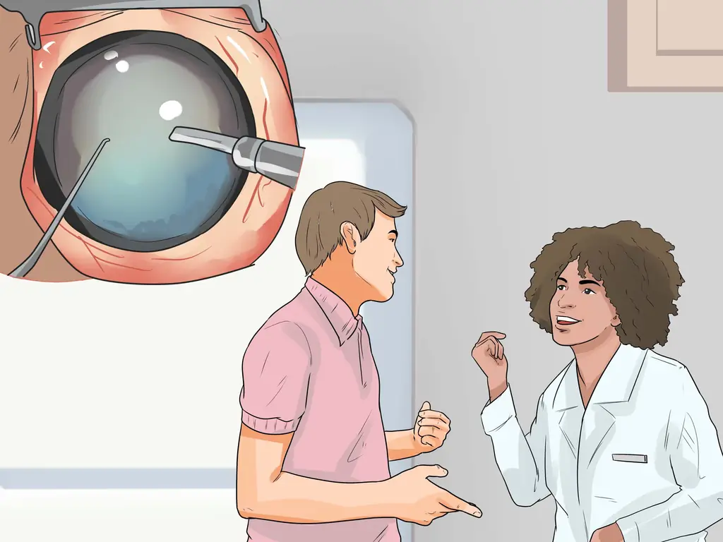 Как диагностировать катаракту у лабрадоров ретриверов: 8 шагов