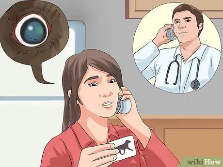 Лечить проблемы с глазами у бостон-терьеров Шаг 19