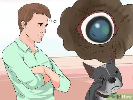 Лечить проблемы с глазами у бостон-терьеров Шаг 6