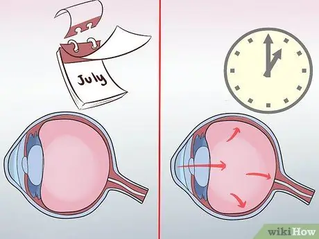 Диагностика глаукомы у пуделей Шаг 11