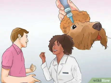 Диагностика глаукомы у пуделей Шаг 9