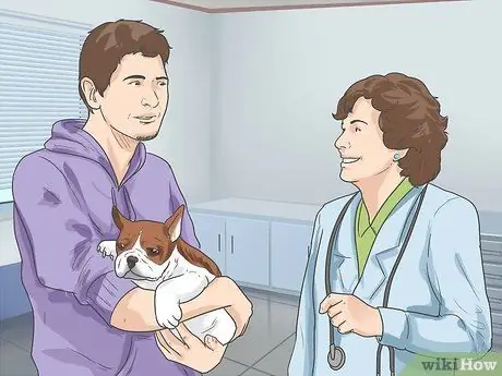 Диагностика собачьих глазных инфекций Шаг 7