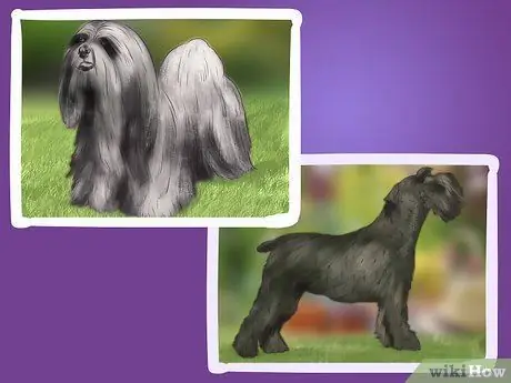 Лечить камни в почках у собак Шаг 11