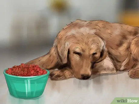 Лечить камни в почках у собак Шаг 10