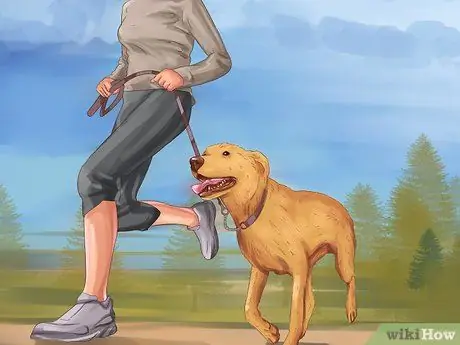 Помощь собаке с недержанием сна Шаг 14