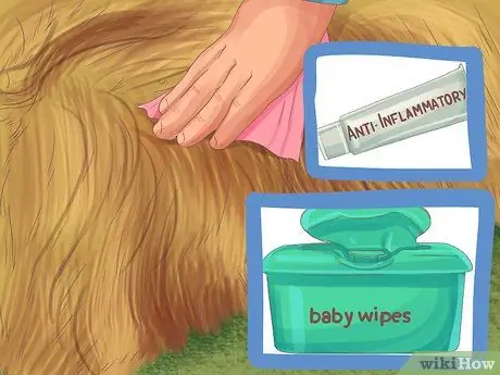 Помогите собаке с недержанием сна Шаг 15