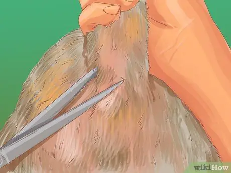 Помогите собаке с недержанием сна Шаг 16