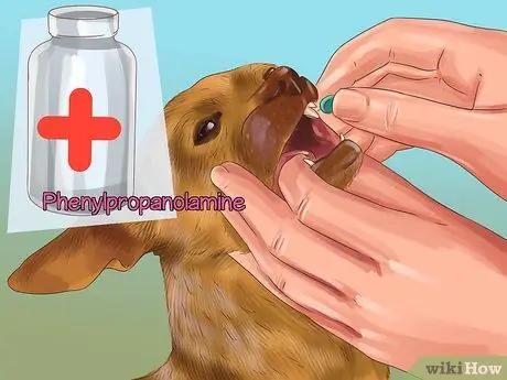 Помогите собаке с недержанием сна Шаг 3