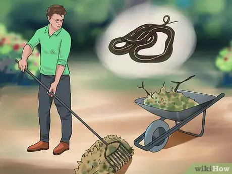 Вылечить укус собаки от змеи Шаг 1