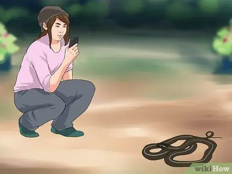 Лечить укус змеи на собаке Шаг 10