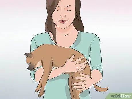 Вылечить укус собаки от змеи Шаг 12