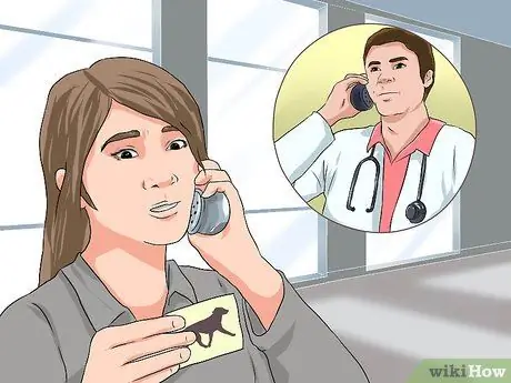 Лечить укус змеи на собаке Шаг 13