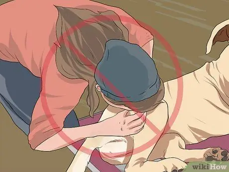 Лечить укус змеи на собаке Шаг 15