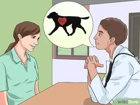 Лечить укус змеи на собаке Шаг 16