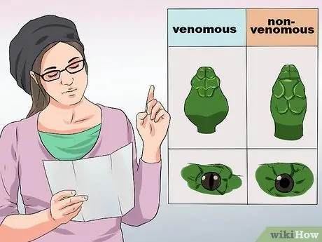 Лечить укус змеи на собаке Шаг 9