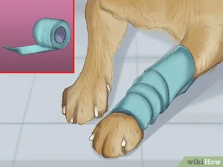 Остановить кровотечение у собаки Шаг 8