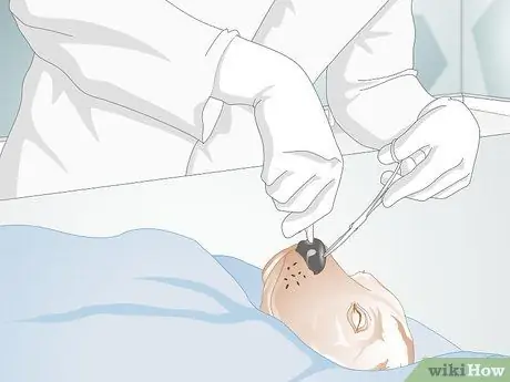 Лечить носовые кровотечения у собак Шаг 10